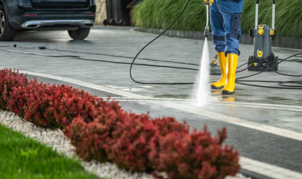Best Graffiti Removal  in Lake Cassidy, WA